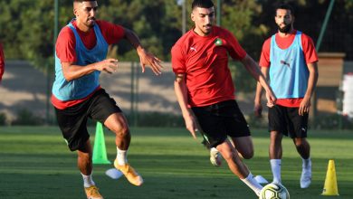 Photo of 13 لاعبا فقط بتداريب الأسود استعدادا لنهائيات كأس إفريقيا