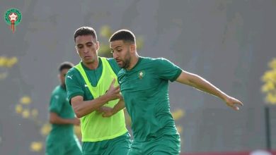 Photo of بالصور.. أول حصة تدريبية للأسود استعدادا لمواجهتي السودان وغينيا