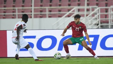 Photo of الكونغو تعتذر عن مواجهة الأسود قبل الكان