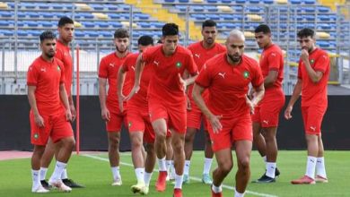 Photo of رغم انتشار أوميكرون..تجمع مغلق للأسود بدولة إفريقية