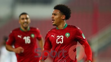 Photo of طائرات خاصة لنقل لاعبي الأسود إلى المغرب