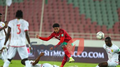 Photo of مكافآت مالية مغربية من الجامعة للأسود بكأس إفريقيا