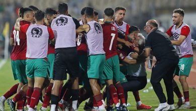 Photo of كأس إفريقيا.. الأسود لحصد العلامة الكاملة وحسم الصدارة والغابون لضمان التأهل