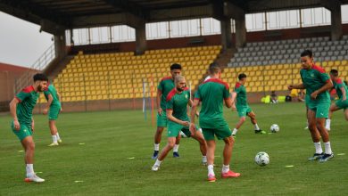 Photo of بالفيديو.. لحظة وصول المنتخب الوطني إلى ملعب التداريب استعدادا لمواجهة مالاوي