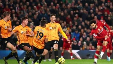 Photo of ليفربول يعلن ضم موهبة برتغالية صاعدة