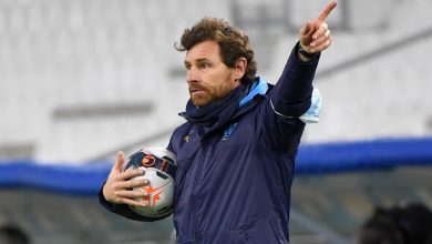 Photo of برتغالي الأقرب لتدريب الأسود خلفا لخاليلوزيتش