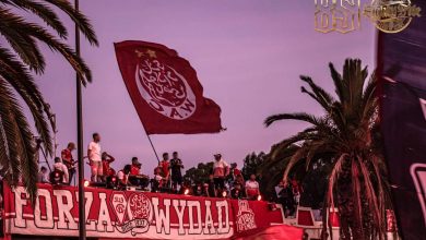 Photo of الوينرز تحذر لاعبي الفريق من مواجهة بيترو: لا يجب أن نسلخ جلد الذئب قبل ذبحه واقعيا