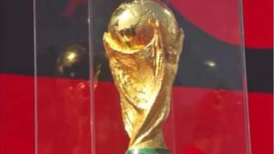 Photo of فيديو..استقبال خاص للقب كأس العالم والنجم الفرنسي ترايزيغي
