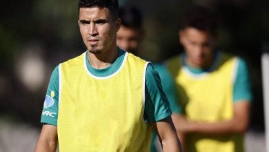 Photo of الرجاء يكشف الحالة الصحية لزريدة ومدة غيابه عن الميادين