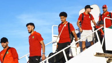 Photo of طائرتان خاصتان من الجامعة لنقل لاعبي الأسود قبل المونديال