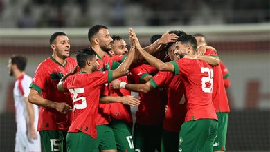 Photo of 7 لاعبين جدد يمثلون الأسود في وديتي البرازيل والبيرو