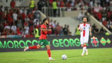 Photo of 193 مليون مداخيل مباراة الأسود وجورجيا