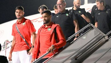 Photo of بعثة الأسود تصل لقطر