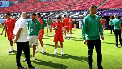 Photo of الفيفا يحدد موعد تفقد الأسود لملعب الثمامة قبل قمة بلجيكا