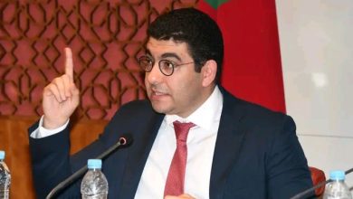 Photo of اتصالات خاصة من وزراء المغرب بالركراكي بعد الفوز المهم على بلجيكا