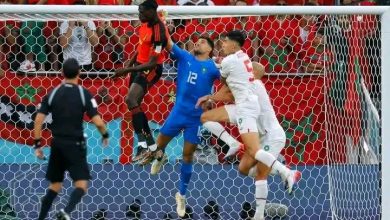 Photo of نقل حارس الأسود من السعودية إلى قطر لتلقي العلاج