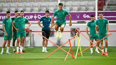 Photo of هذا موعد الحصة التدريبية الأخيرة للأسود قبل مواجهة البرتغال