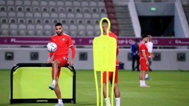 Photo of كثرة الإصابات تلغي تداريب الأسود