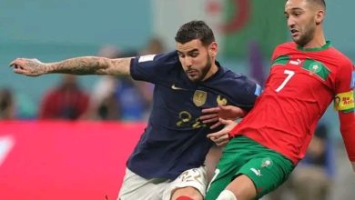 Photo of الأسود يحضورون نهائي كأس العالم بين فرنسا والأرجنتين