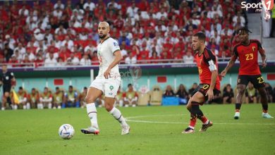 Photo of اتفاق بين فيورنتينا وفنربخشة لبيع أمرابط