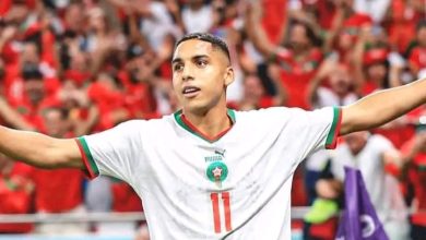 Photo of فيورنتينا يحسم صفقة انتقال صابيري