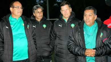 Photo of عاجل.. قرار جديد ينهي عطالة مدربي الدوري الاحترافي