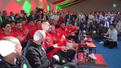 Photo of فيديو.. زيارة الأسود لنزلاء السجن المحلي لمدينة سلا