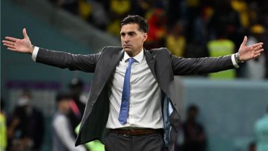 Photo of مدرب جديد للنصيري بإشبيلية