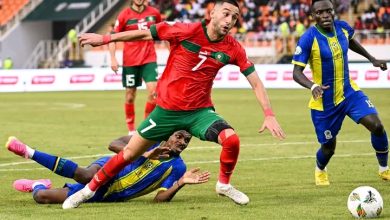 Photo of فيديو.. الأسود يتقدمون على تنزانيا بهدف في الشوط الأول