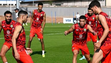 Photo of فيديو.. تداريب مكثفة للأسود استعدادا لمواجهة تنزانيا