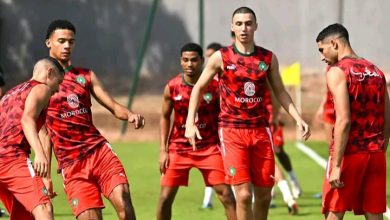 Photo of الأسود ينهون الاستعدادات لمواجهة جنوب إفريقيا