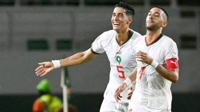 Photo of فيديو.. الأسود يتقدمون على زامبيا في الشوط الأول