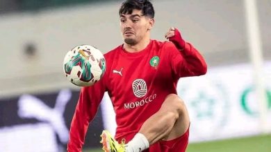 Photo of فيديو.. أول حصة تدريبية للأسود تحضيرا لمواجهة الغابون