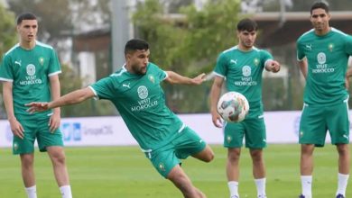 Photo of فيديو.. أجواء حماسية في تداريب الأسود استعدادا لمواجهة الكونغو