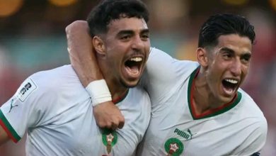 Photo of شادي: كريستال بالاس يناسب الطريقة التي ألعب بها تمامًا