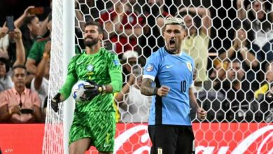Photo of برنامج مباريات دور نصف نهائي “كوبا أمريكا”