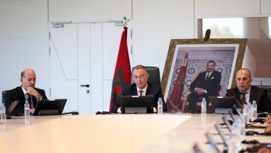 Photo of لقجع: “مشروع الحماية الاجتماعية للممارسين الرياضيين محطة أساسية لضمان العيش الكريم لهذه الفئة من المجتمع”