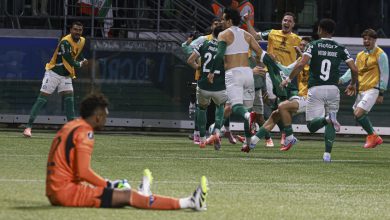 Photo of بالميراس يبلغ نهائي كوبا ليبرتادوريس على حساب كويتو الإكوادوري