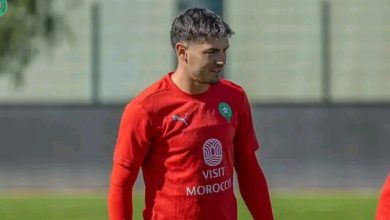 Photo of فيديو.. الأسود يرفعون وتيرة الاستعدادات لمواجهة موزمبيق